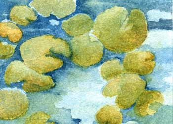 "Lake Lilies" by Charlotte Olson, Merrimac WI - Watercolor